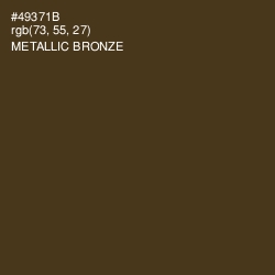 #49371B - Metallic Bronze Color Image